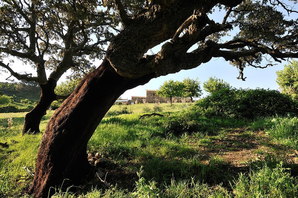 Villa Stazzu Coiga Aggius Esterno foto